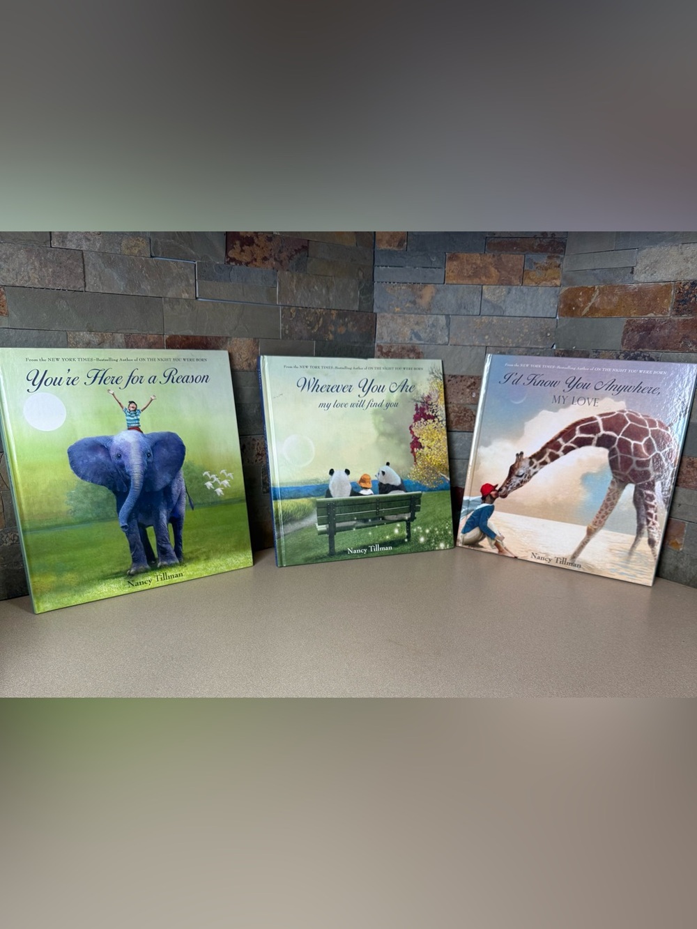 Nancy Tillman Hardcover Children’s Book Bundle (Lot of 3)